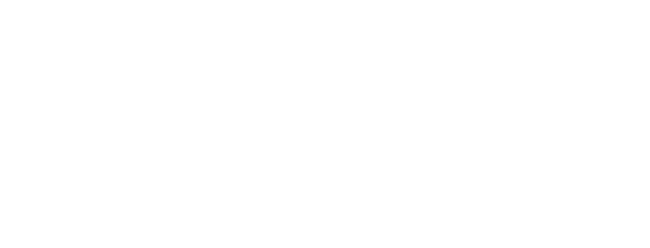 Safari Specialists logo